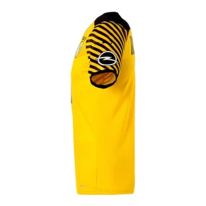 Les meilleures critiques de 🥰 Football Homme Puma Bvb Home 👚 Shirt Replica JAUNE 🛒 commentaire favorable 16